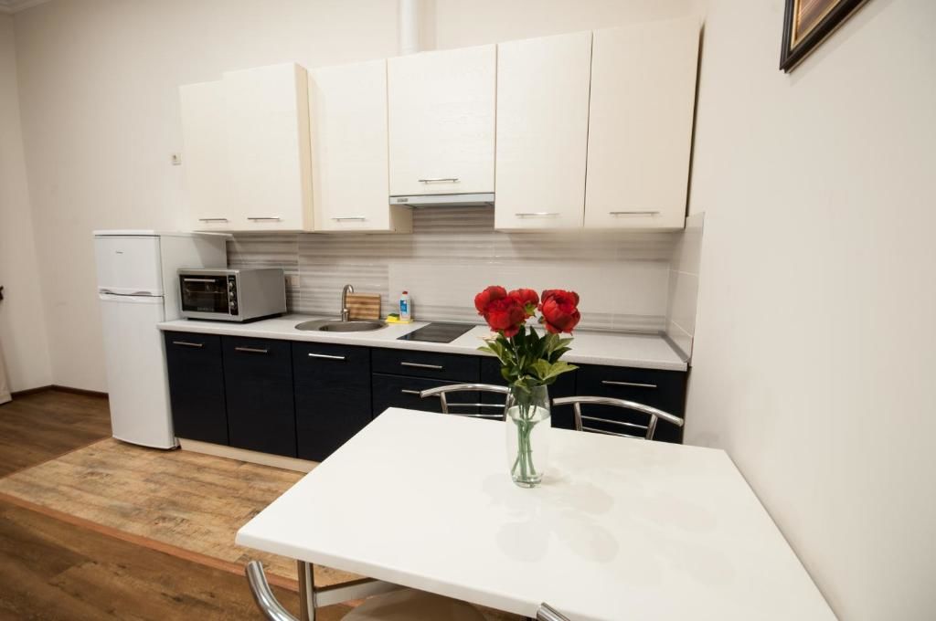 Апартаменты Wonderful flat on city center (Mukachivska 4/14) Ужгород