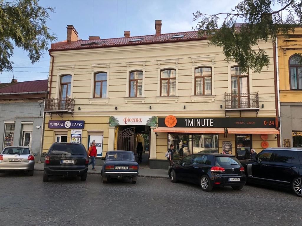 Апартаменты Wonderful flat on city center (Mukachivska 4/14) Ужгород